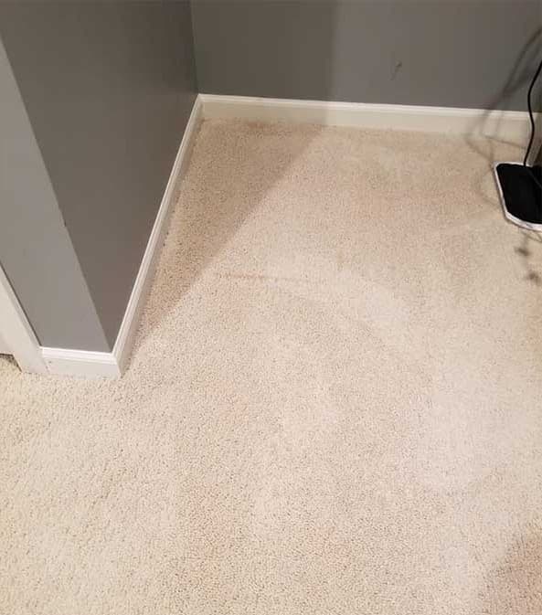 After Carpet Cleaning